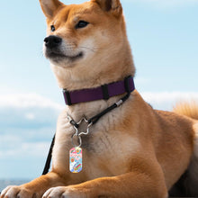 Lade das Bild in den Galerie-Viewer, Schlüsselanhänger aus Metall (gleiches Bild) selbst gestalten und bedrucken