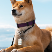 Lade das Bild in den Galerie-Viewer, Schlüsselanhänger aus Metall (Doppelseitig verschiedene Bilder) selbst gestalten und bedrucken