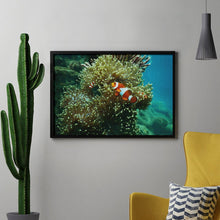 Lade das Bild in den Galerie-Viewer, Diamond Picture Clownfish Style 8"×12"