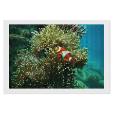 Lade das Bild in den Galerie-Viewer, Diamond Picture Clownfish Style 8"×12"