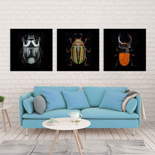 Lade das Bild in den Galerie-Viewer, Multi-Image-Design Druck Quadrat-Stil 3 Panel hängende Poster / Leinwandbild 3-teilig / Leinwand Malerei mit Foto selbst gestalten und bedrucken