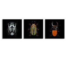 Lade das Bild in den Galerie-Viewer, Multi-Image-Design Druck Quadrat-Stil 3 Panel hängende Poster / Leinwandbild 3-teilig / Leinwand Malerei mit Foto selbst gestalten und bedrucken