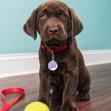 Lade das Bild in den Galerie-Viewer, Haustier Erkennungsmarke Adressanhänger Klein Anhänger Leicht Edelstahl Hunde Namen-Schild (Druck der Unterschiedlichen Bilder auf beiden Seiten) mit Fotos Muster Text Logo selbst gestalten und bedrucken