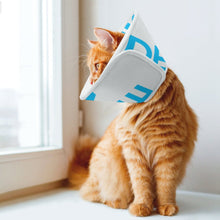 Lade das Bild in den Galerie-Viewer, Haustier Elizabeth Kreis Verstellbare Hund Schutzhalsband Anti-Biss für Kleintiere Kaninchen Meerschweinchen Hamster