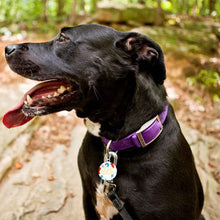 Lade das Bild in den Galerie-Viewer, Haustier Erkennungsmarke Adressanhänger Klein Anhänger Leicht Edelstahl Hunde Namen-Schild (Druck der Unterschiedlichen Bilder auf beiden Seiten) mit Fotos Muster Text Logo selbst gestalten und bedrucken