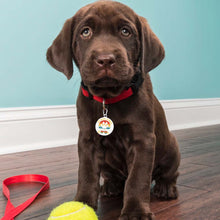 Lade das Bild in den Galerie-Viewer, Haustier Erkennungsmarke Adressanhänger Klein Anhänger Leicht Edelstahl Hunde Namen-Schild (Druck der Unterschiedlichen Bilder auf beiden Seiten) mit Fotos Muster Text Logo selbst gestalten und bedrucken