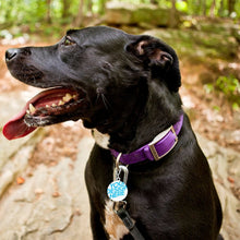 Lade das Bild in den Galerie-Viewer, Haustier Erkennungsmarke Adressanhänger Klein Anhänger Leicht Edelstahl Hunde Namen-Schild (Druck der Unterschiedlichen Bilder auf beiden Seiten) mit Fotos Muster Text Logo selbst gestalten und bedrucken
