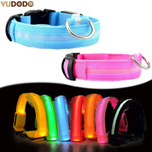 Lade das Bild in den Galerie-Viewer, Nylon LED Hundehalsband Sicherheit blinkt nachts