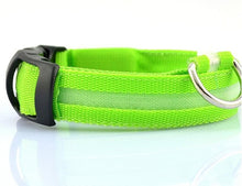 Lade das Bild in den Galerie-Viewer, Nylon LED Hundehalsband Sicherheit blinkt nachts