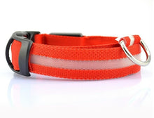 Lade das Bild in den Galerie-Viewer, Nylon LED Hundehalsband Sicherheit blinkt nachts