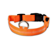 Lade das Bild in den Galerie-Viewer, Nylon LED Hundehalsband Sicherheit blinkt nachts