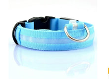 Lade das Bild in den Galerie-Viewer, Nylon LED Hundehalsband Sicherheit blinkt nachts