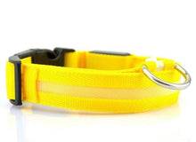 Lade das Bild in den Galerie-Viewer, Nylon LED Hundehalsband Sicherheit blinkt nachts