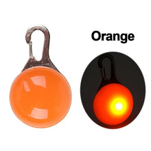 Lade das Bild in den Galerie-Viewer, Nylon LED Hundehalsband Sicherheit blinkt nachts