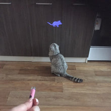 Lade das Bild in den Galerie-Viewer, Elektrischer Spielzeug-LED-Zeiger der Katze kreativer Stift mit heller animierter Maus