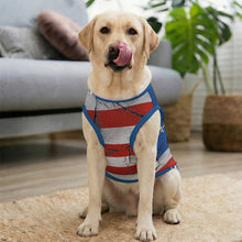 Lade das Bild in den Galerie-Viewer, Personalisierbares Hunde Sommershirt für große Hunde
