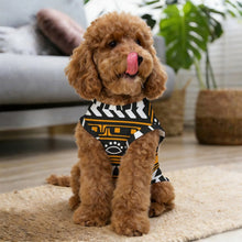 Lade das Bild in den Galerie-Viewer, Personalisierbares Sommer-Shirt für kleine Hunde und Katzen
