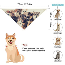 Lade das Bild in den Galerie-Viewer, Personalisiertes Haustier-Bandana mit Wunschdruck
