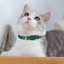 Lade das Bild in den Galerie-Viewer, Personalisierbares Hundehalsband aus Oxford-Gewebe - Verstellbar für kleine Hunde

