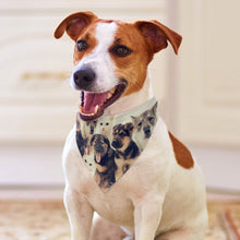 Lade das Bild in den Galerie-Viewer, Personalisiertes Haustier-Bandana mit Wunschdruck
