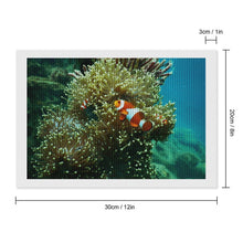 Lade das Bild in den Galerie-Viewer, Diamond Picture Clownfish Style 8"×12"
