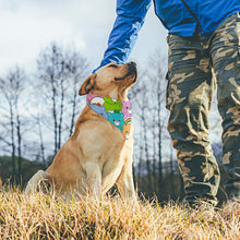 Lade das Bild in den Galerie-Viewer, Für coole Fellnasen | Personalisiertes Hundehalstuch mit Namen
