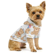 Lade das Bild in den Galerie-Viewer, Pet Hoodie Teddy Bear, Lucky Day, Ice Cream
