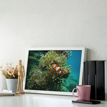 Lade das Bild in den Galerie-Viewer, Diamond Picture Clownfish Style 8"×12"
