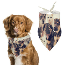 Lade das Bild in den Galerie-Viewer, Personalisiertes Haustier-Bandana mit Wunschdruck
