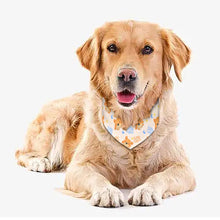 Lade das Bild in den Galerie-Viewer, Haustier Haustierhalsband Schal Tier-Halstuch Hunde Dreieck Bandanas mit Fotos Muster Text Logo selbst gestalten und bedrucken
