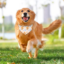 Lade das Bild in den Galerie-Viewer, Haustier Haustierhalsband Schal Tier-Halstuch Hunde Dreieck Bandanas mit Fotos Muster Text Logo selbst gestalten und bedrucken

