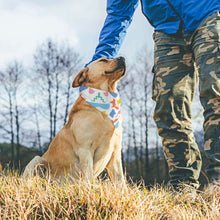 Lade das Bild in den Galerie-Viewer, Haustier Schal Hundehalstuch mit Foto selbst gestalten und bedrucken
