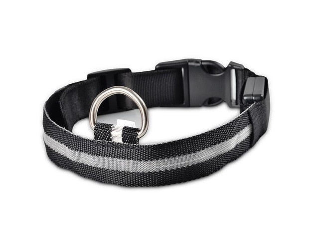 Nylon LED Hundehalsband Sicherheit blinkt nachts