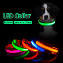 Lade das Bild in den Galerie-Viewer, USB-Lade-LED-Hundehalsband
