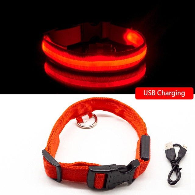 USB-Lade-LED-Hundehalsband